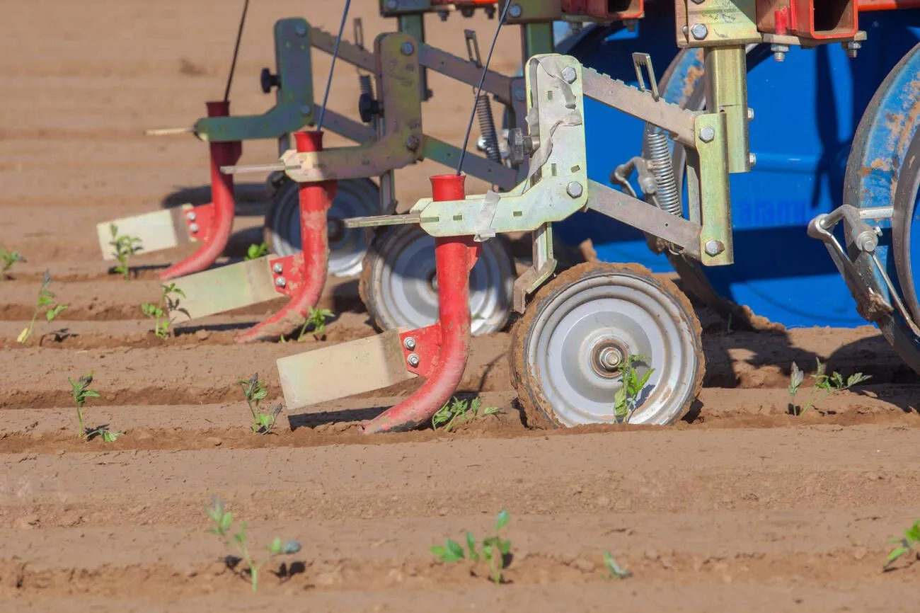 Transplanter machine injecting drip irrigation tape on ground Transplanter machine injecting drip irrigation tape on ground
